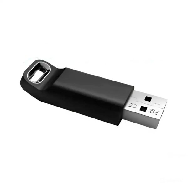 Dimsport Usb HASP Key For Race Evo And Ds Manager